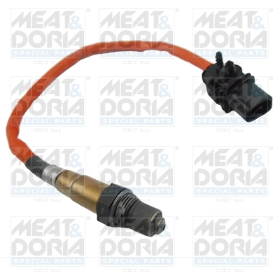 Oxygen Sensor